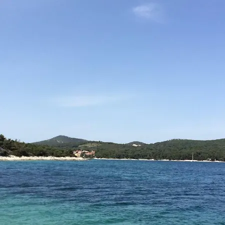 Artatore * Čunski