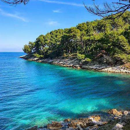 Artatore