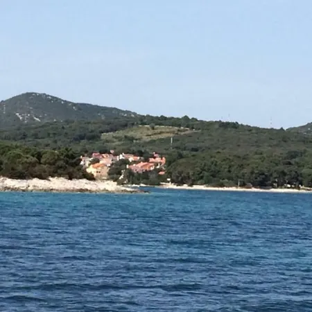 Artatore * Čunski