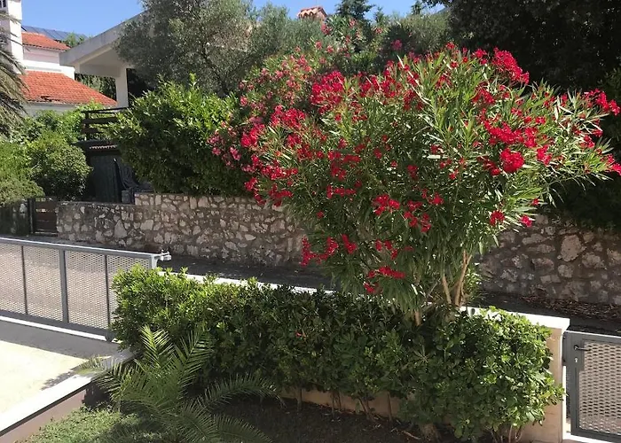 Artatore Lejlighed
