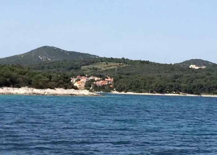Artatore * Čunski